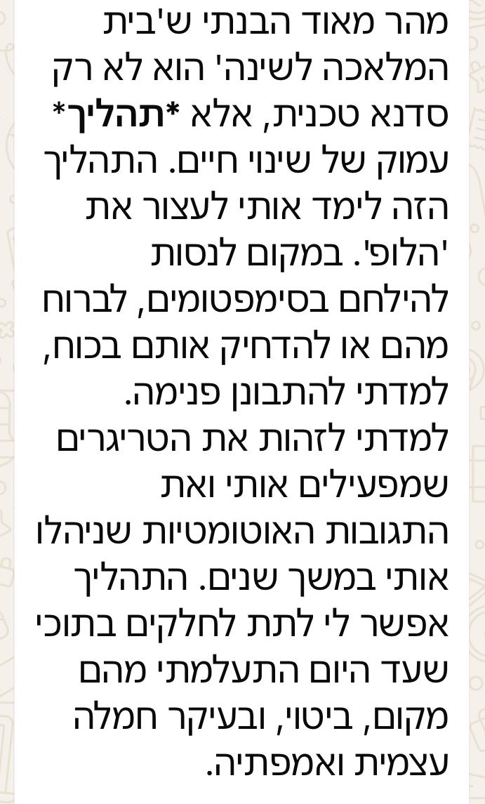 המלצת אמיר 2